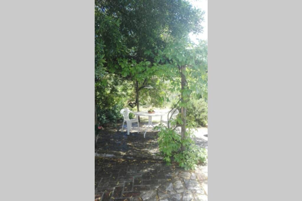Casa Rural La Vega Cazalla de la Sierra Zewnętrze zdjęcie