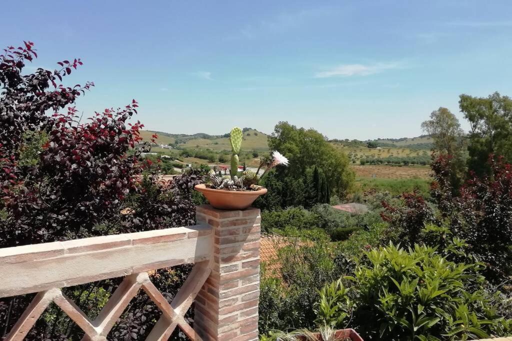 Casa Rural La Vega Cazalla de la Sierra Zewnętrze zdjęcie